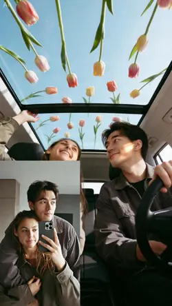 Car tulips