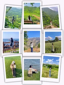 9Pic Clip Transition