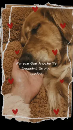 te extraño 
