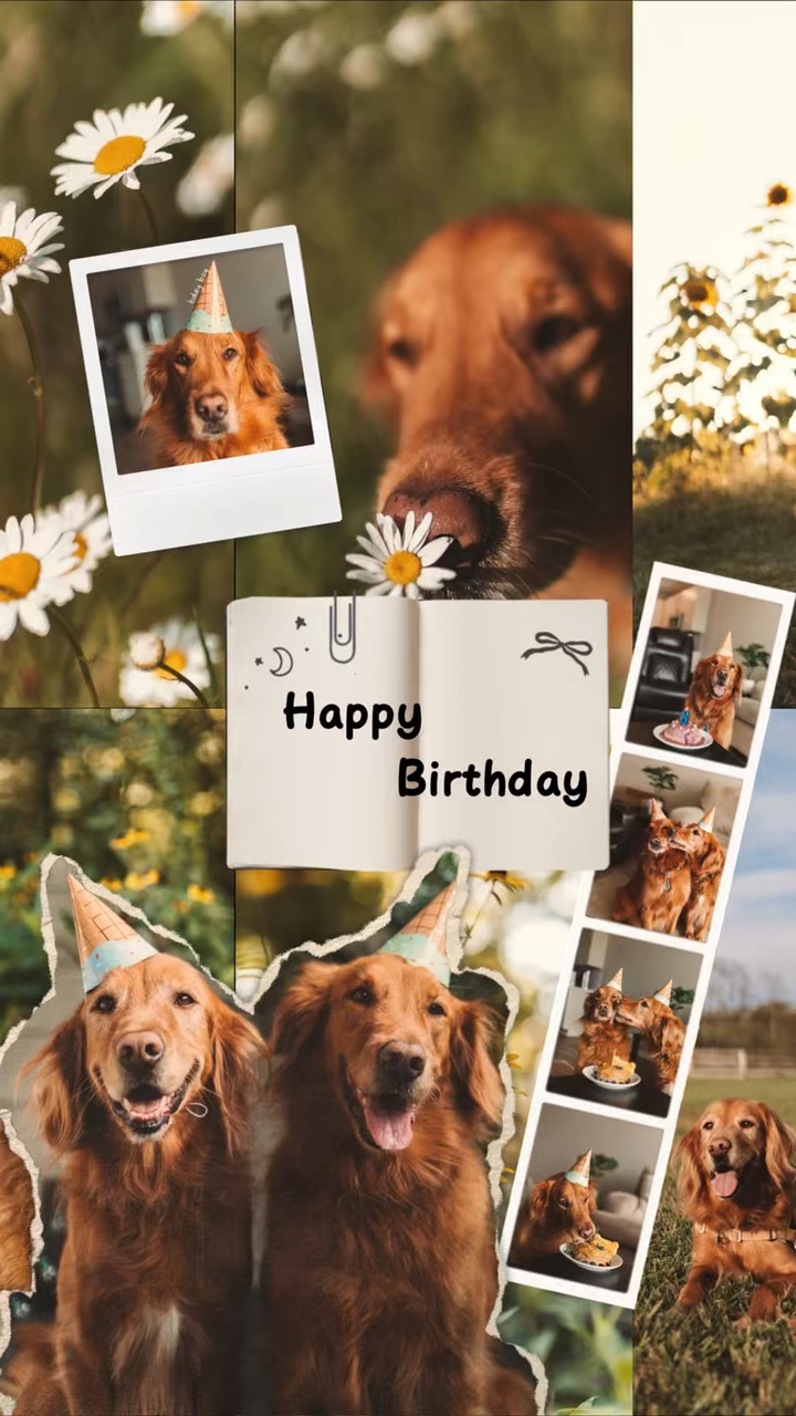 Aniversário meu cachorro
