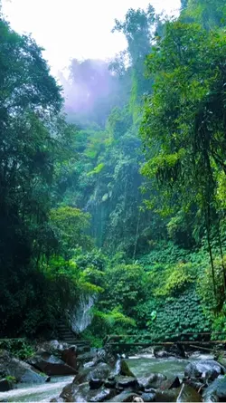 Hutan dan air
