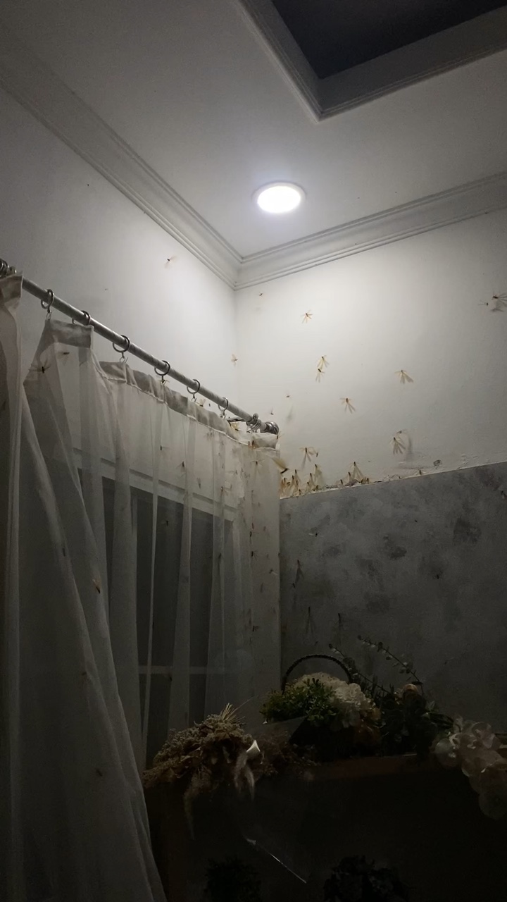 공포 템플릿