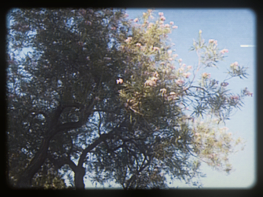 Vlog retro