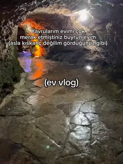 Ev vlog geldiiii