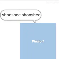 Shonshee Template