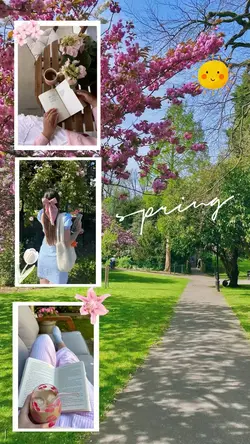 spring