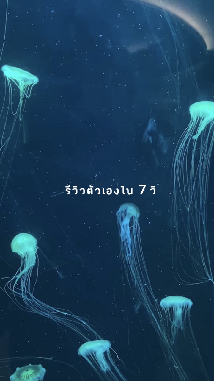 รีวิวตัวเอง