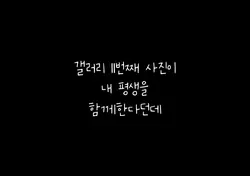 갤러리 11번째 사진