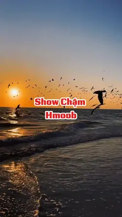 Show Chậm Hmoob 