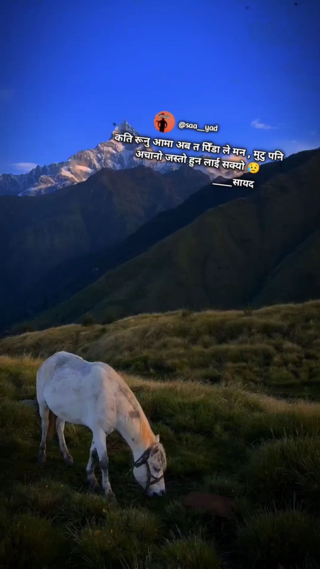 बेपालि sad क्याप्सन