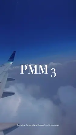 PMM 3