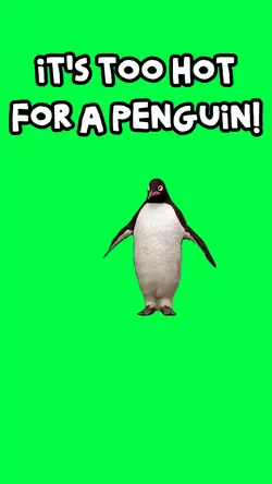 TOO HOT FOR PENGUIN!