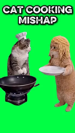 CAT COOKING MISHAP