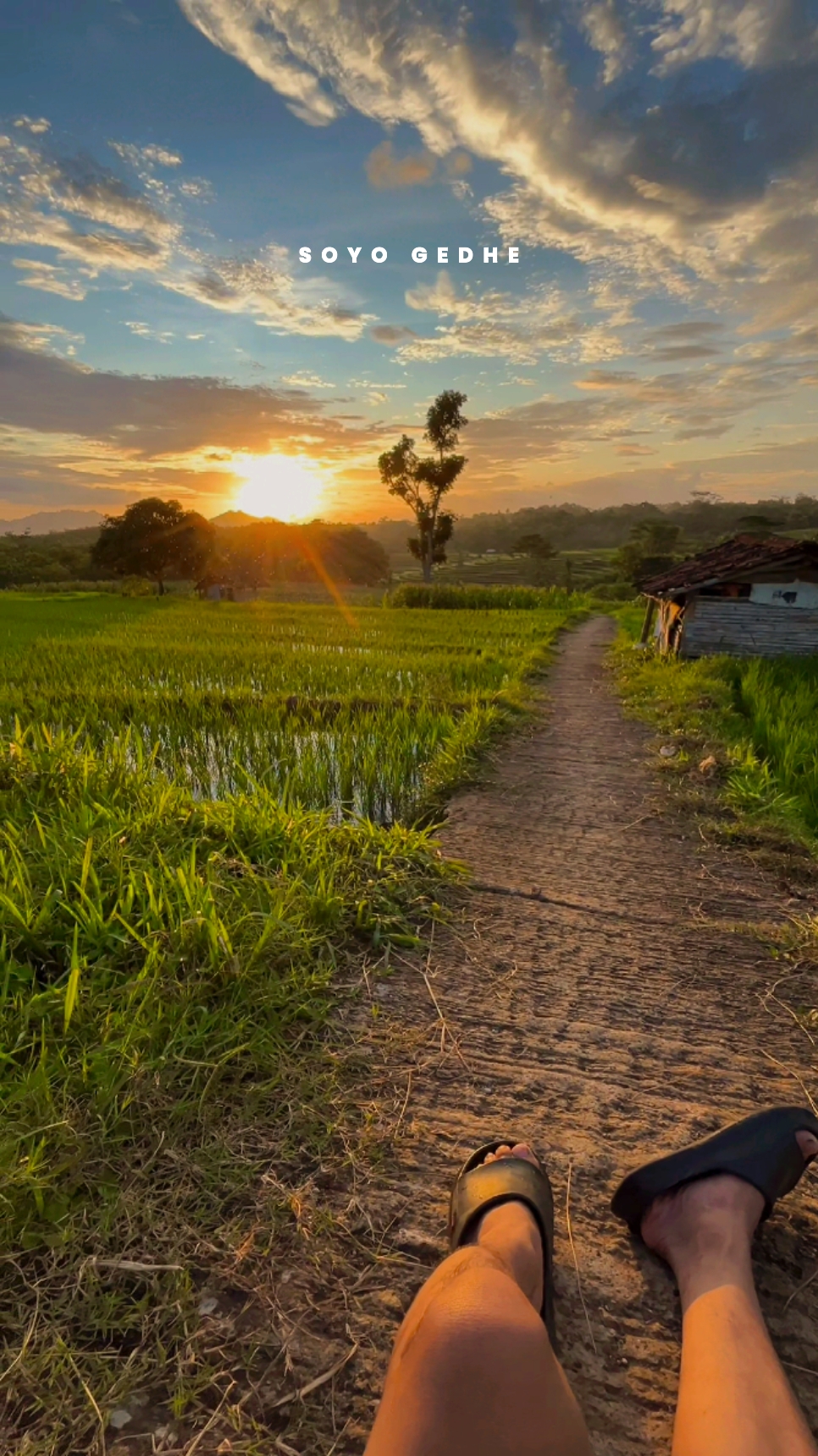 lanang tenan
