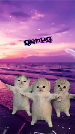 Cute kitten 