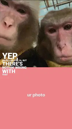 trend monyet selfie
