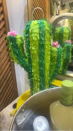 Cinco de mayo