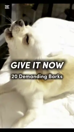 GIVE. IT. NOW.