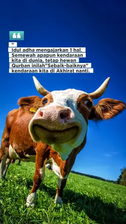 Hewan Qurban