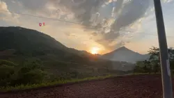 Thức392