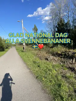 GLAD NATIONAL DAG🇸🇪❤️