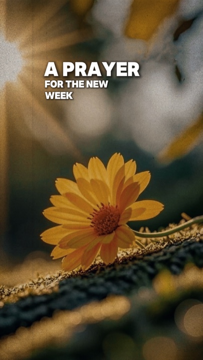 Prayer for new wee