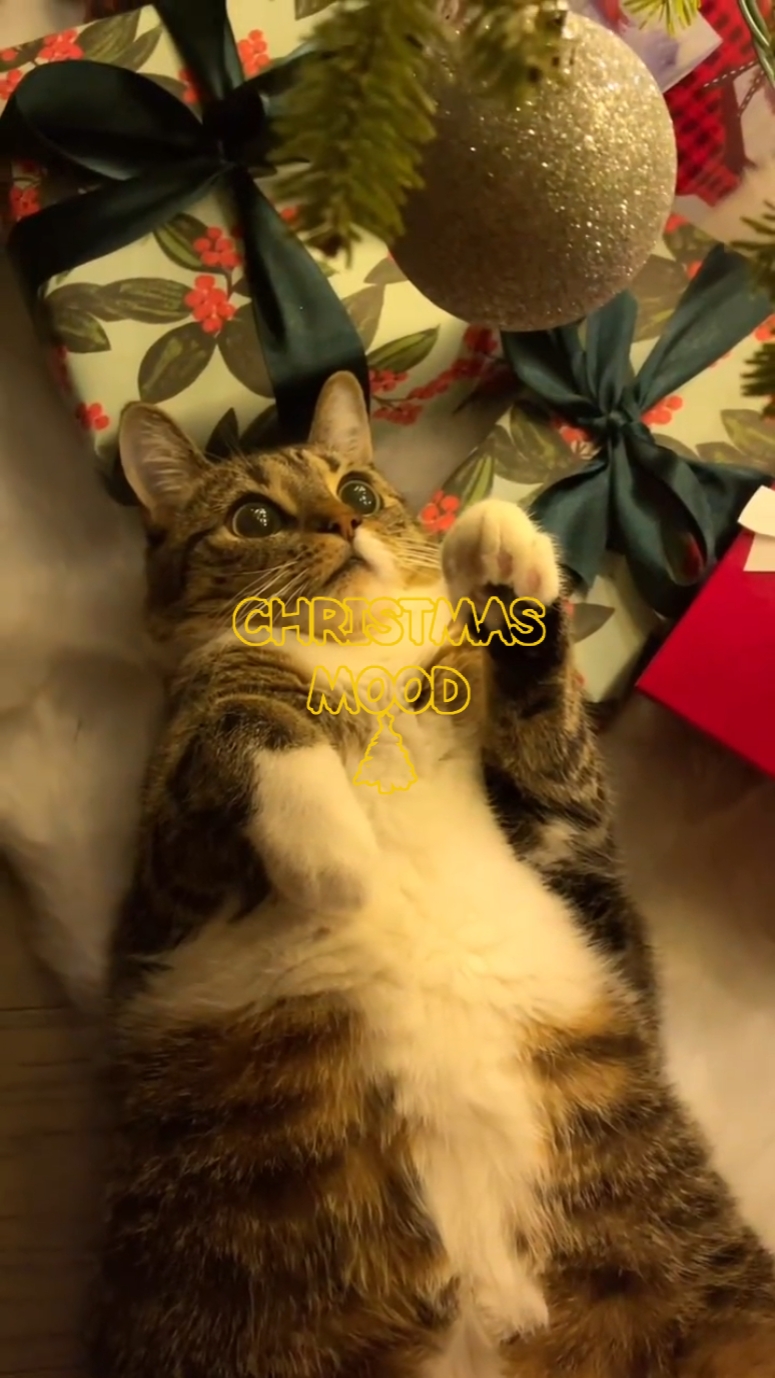 pasko vibes
