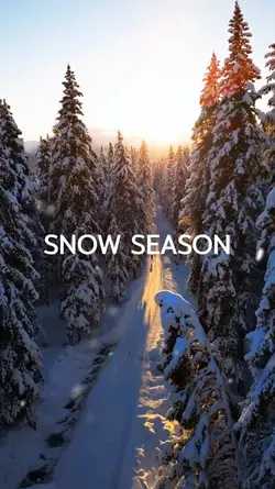 snow season