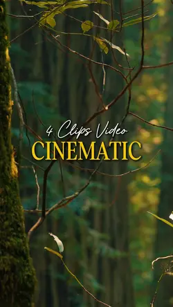 Cinematic 4 Video