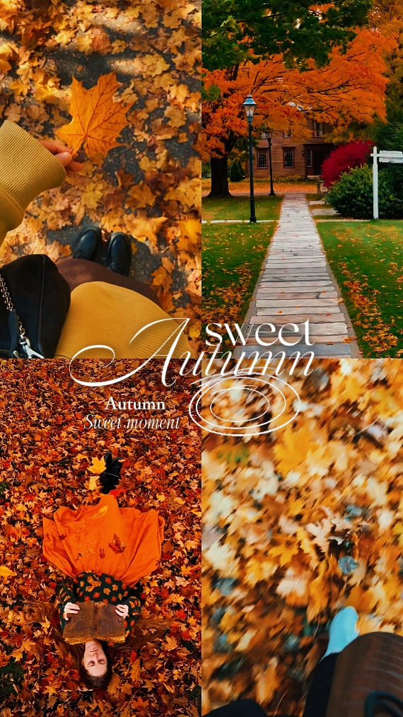 Autumn leaves 