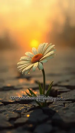 တကဃ်ခွဲကြတော့မလို့လာ