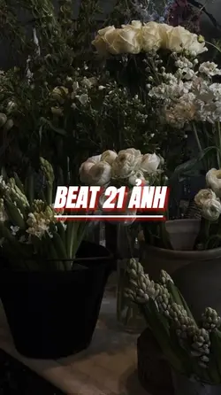 BEAT 21 ẢNH