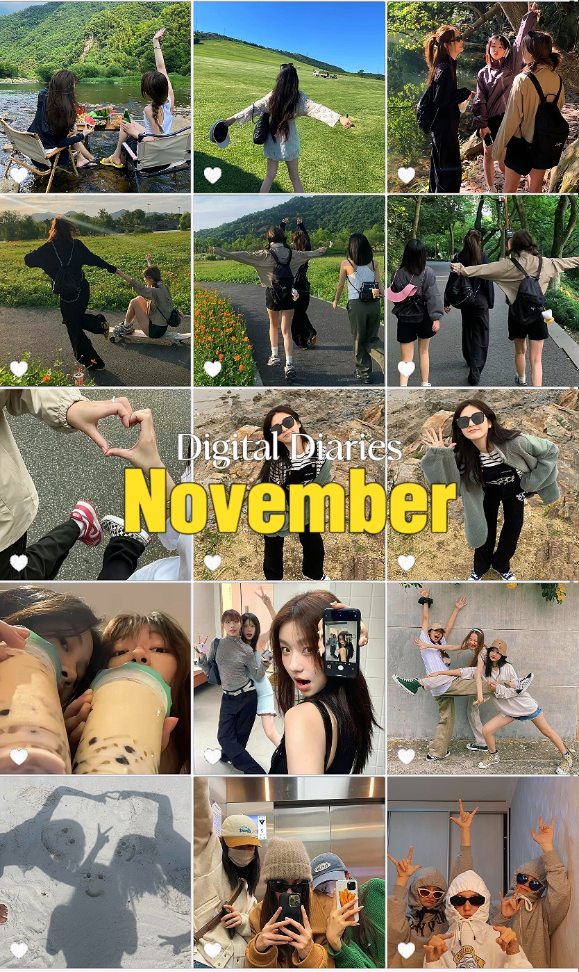 Diarios de noviembre 