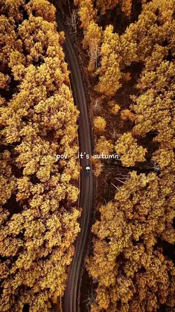 pov it's autumn
