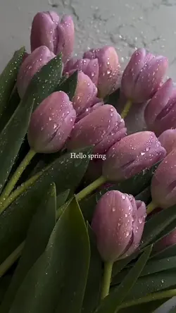 Hello Spring