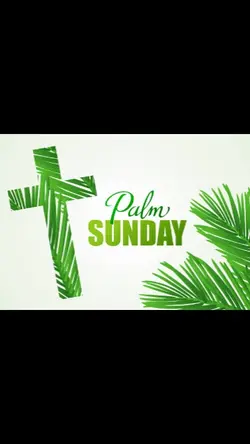 Minggu Palma terbaru