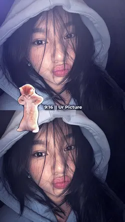 nomir jj kucing