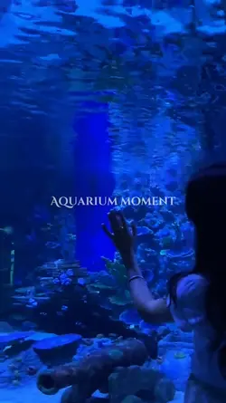 Aquarium moment