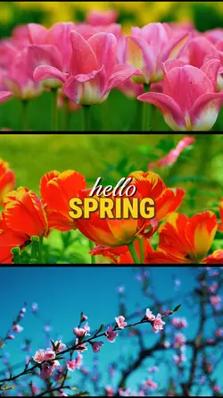 hello spring