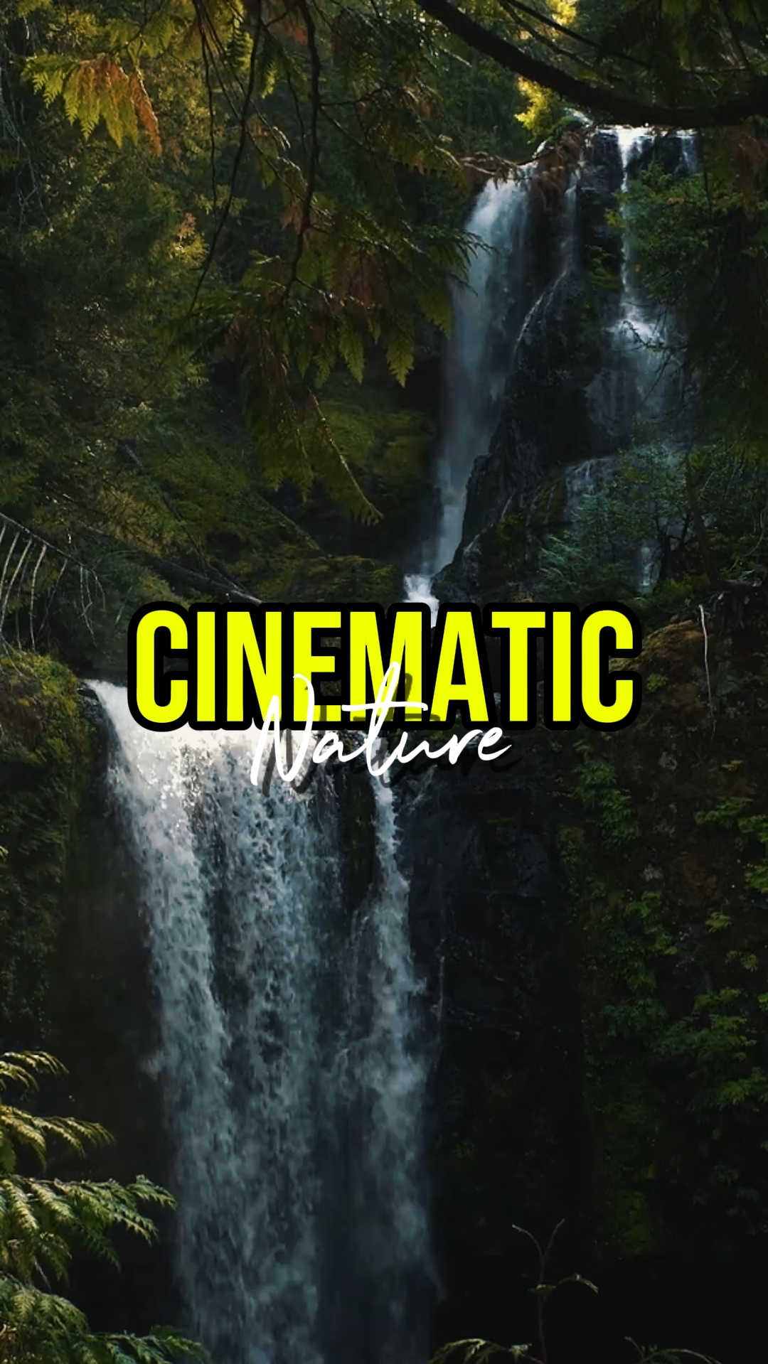 CINEMATIC NATURE