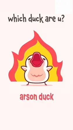 Wich Duck are You