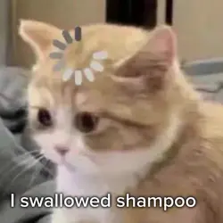 I swallowed shampoo