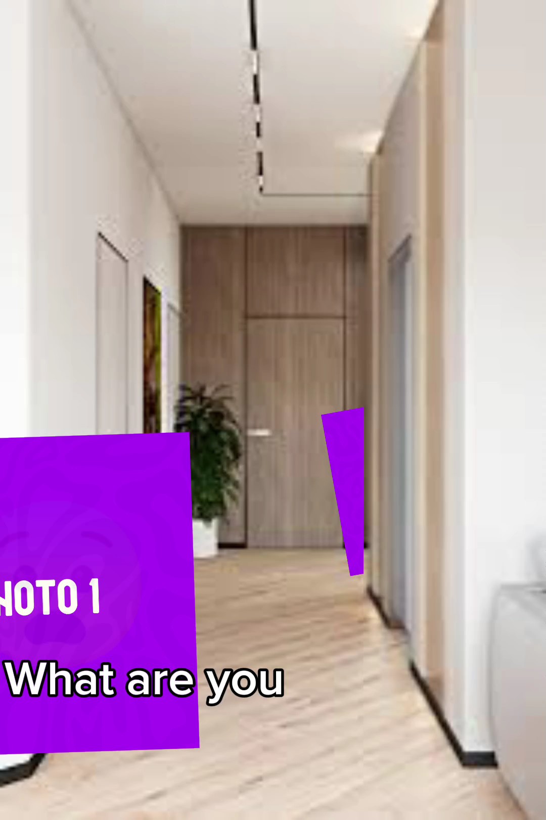 THE NEW TREND 