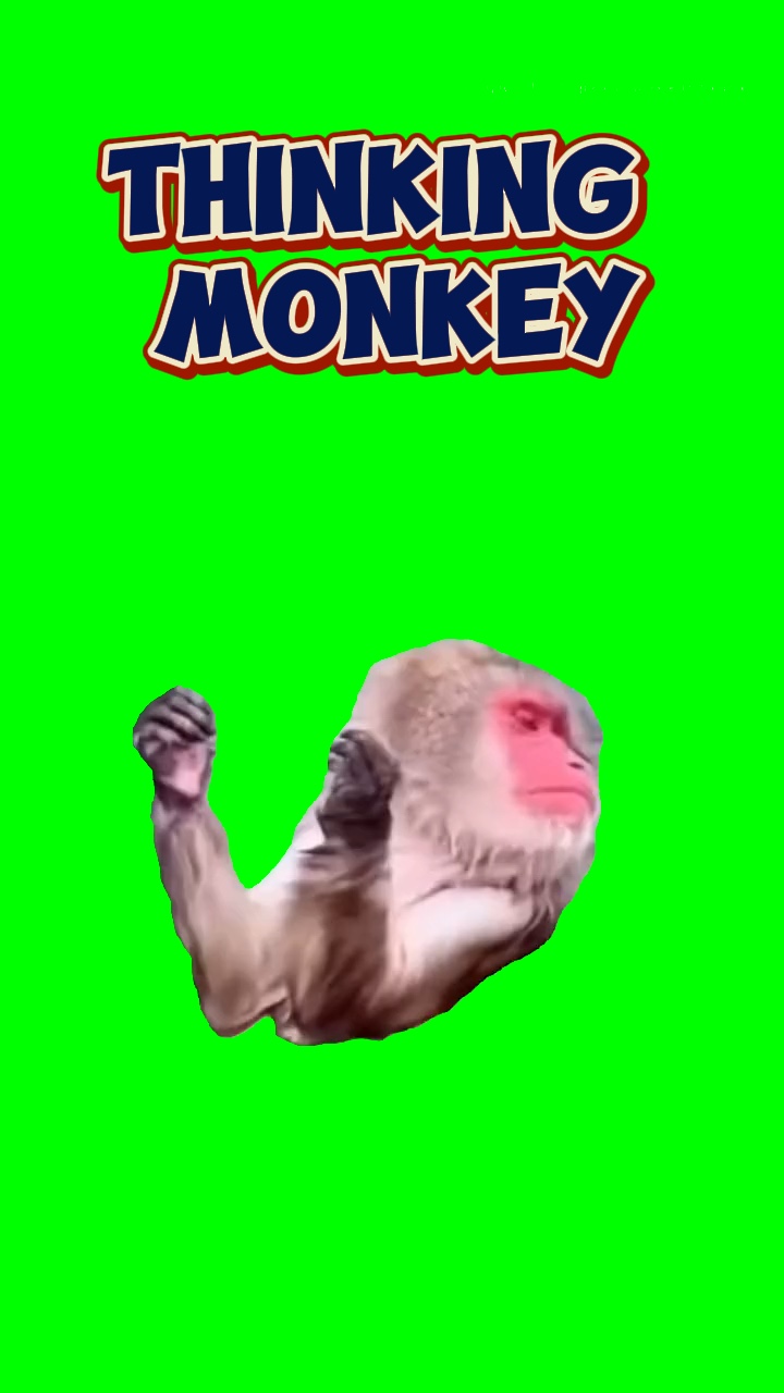 Thinking Monkey