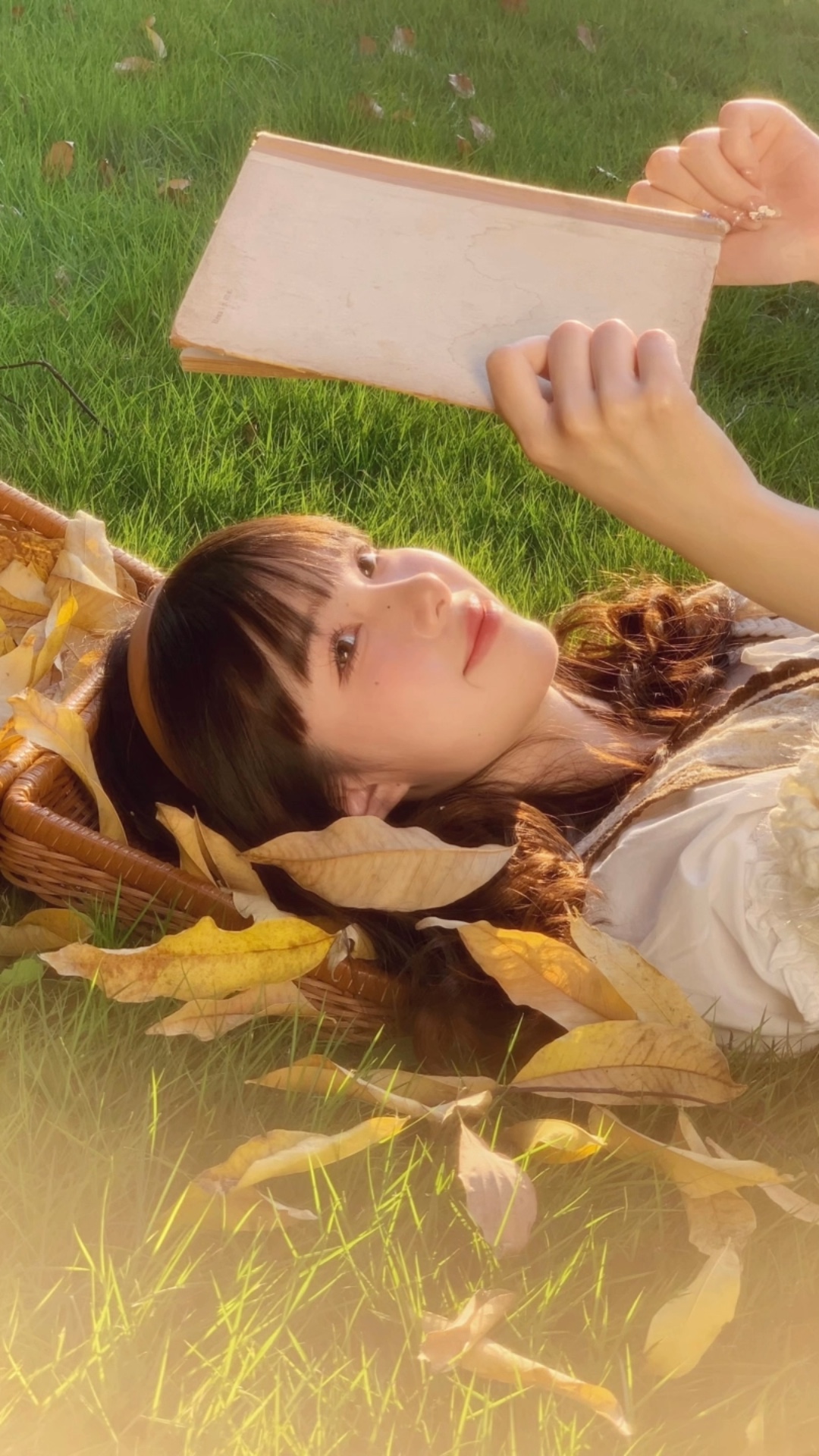Cover Picture