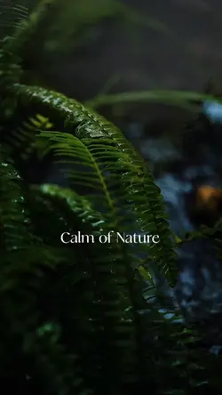 Calm of nature