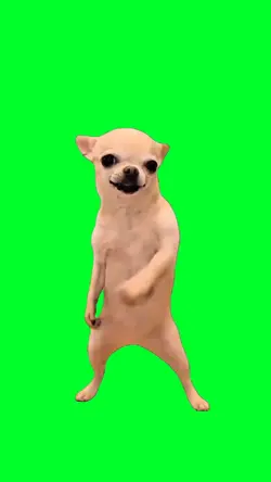 Dancing doggy