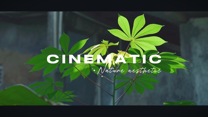 Cinematic Nature HD