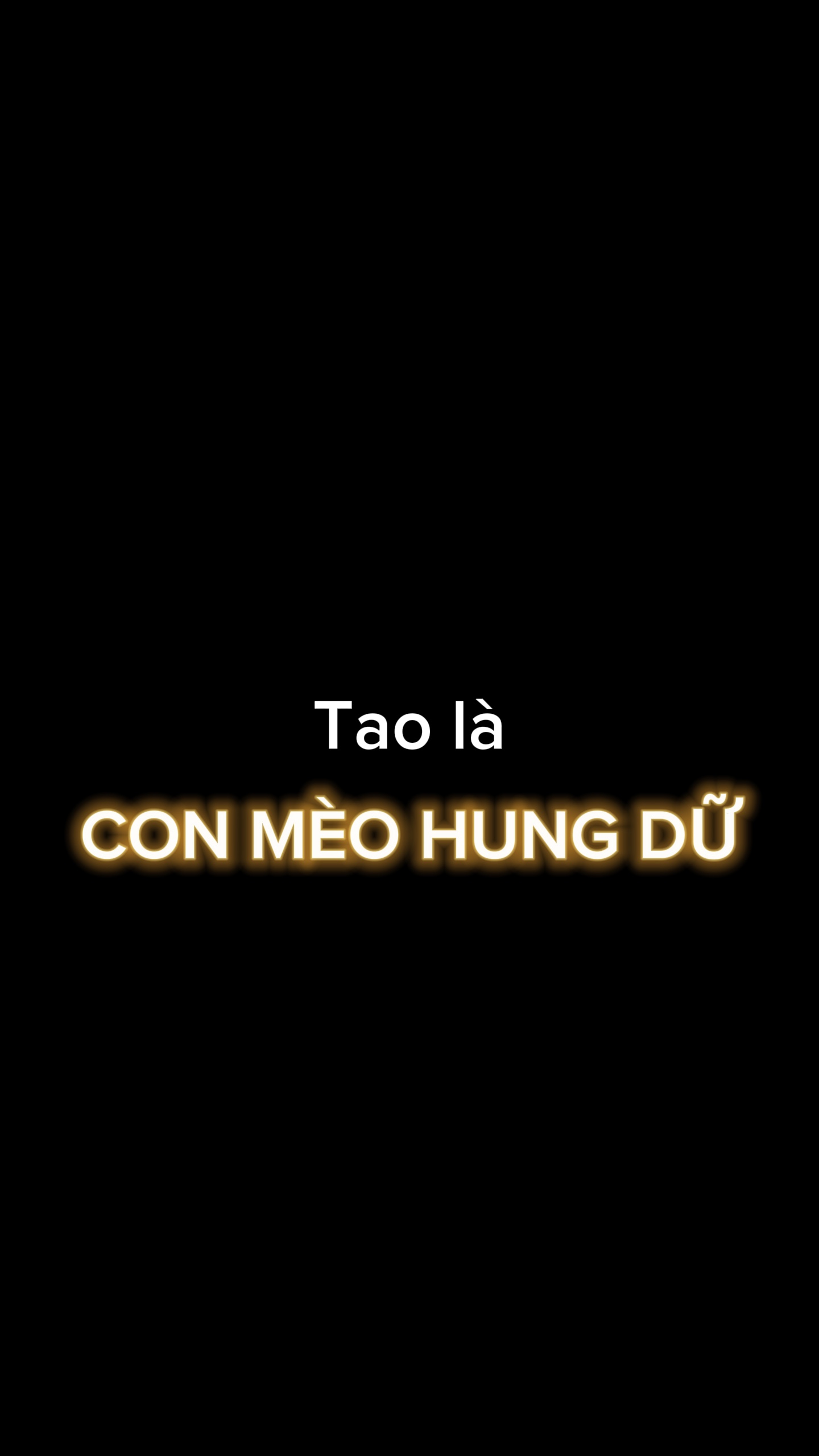 Con mèo hung dữ