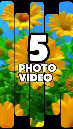 5 clip or photo 